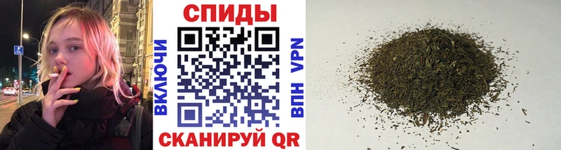 Бутират буратино Губкин