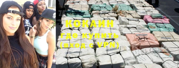 стафф Алзамай