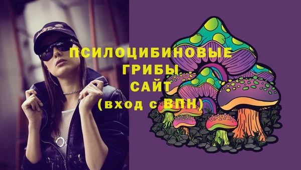 2c-b Абдулино
