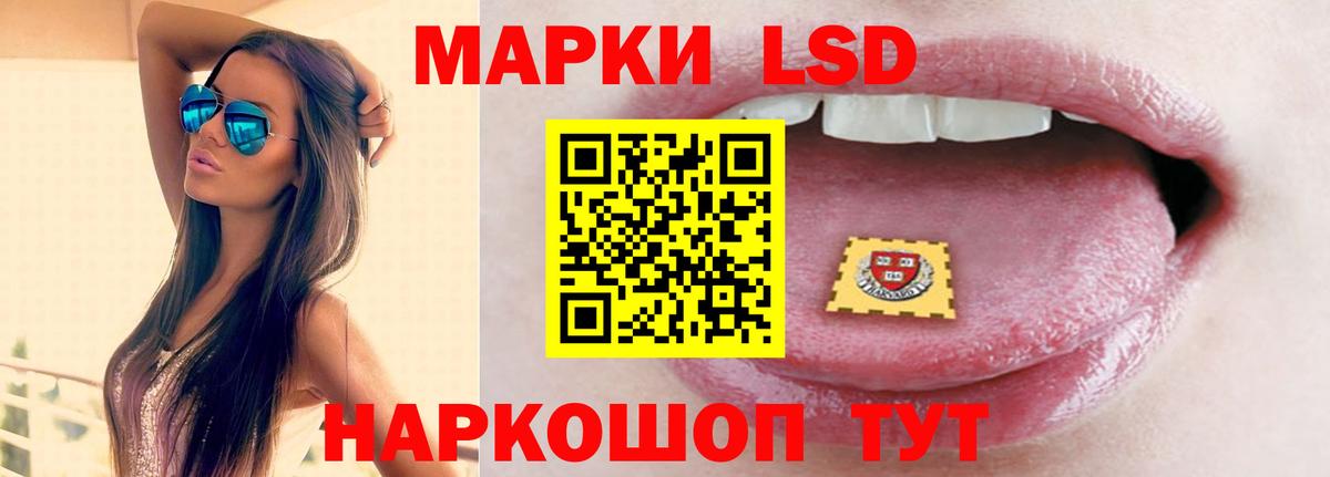  COCAIN Губкин