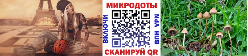 Галлюциногенные грибы мухоморы  Губкин 