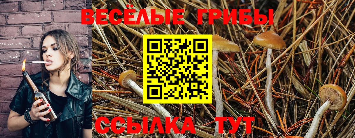 Галлюциногенные грибы MAGIC MUSHROOMS  Галлюциногенные грибы прущие грибы  цена наркотик  Вход с VPN  Губкин 