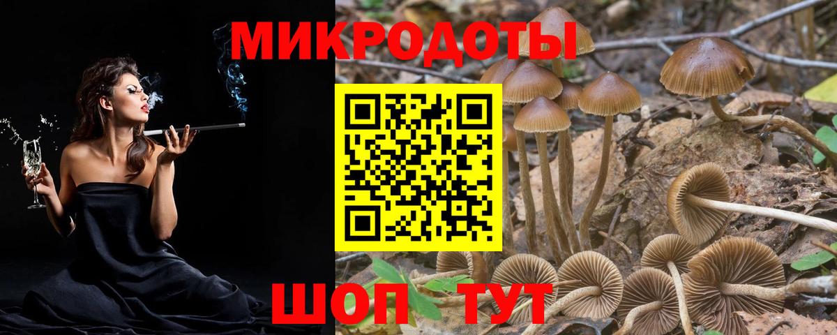 Псилоцибиновые грибы мухоморы Губкин