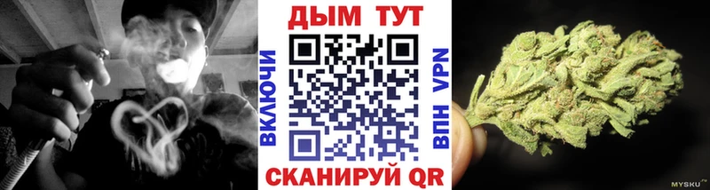 даркнет Telegram  Губкин  Бошки марихуана план 